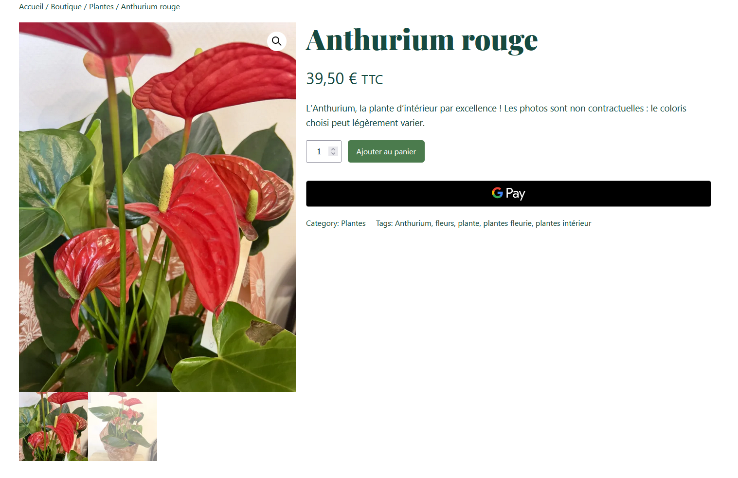 Contact page of the Fleurs de Jade website