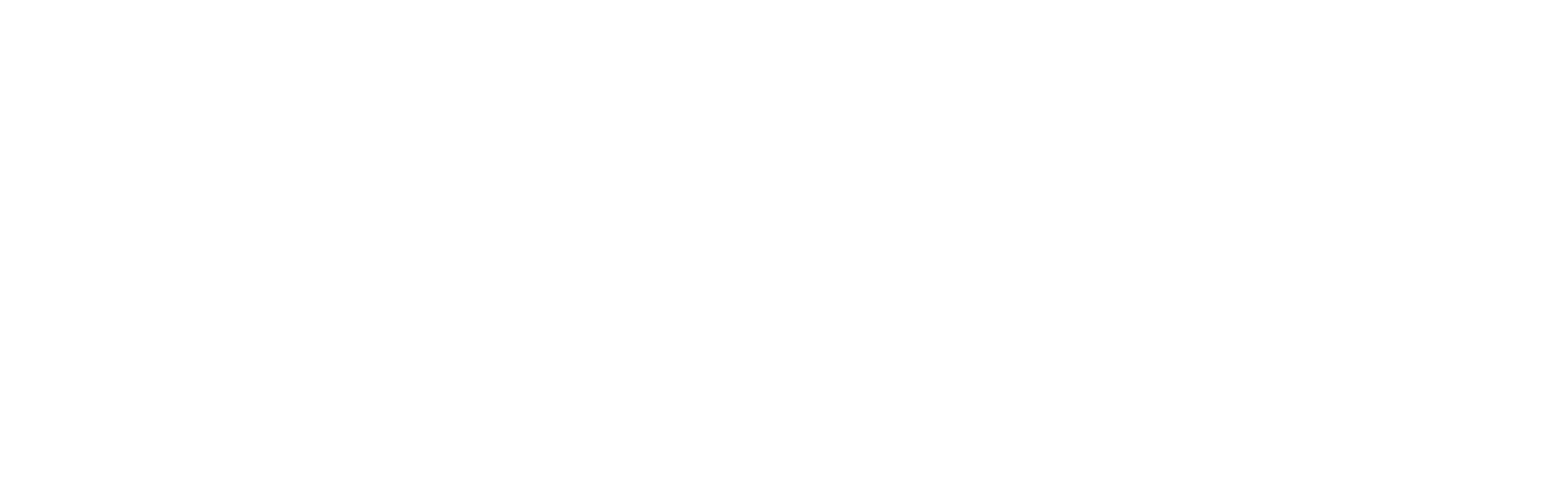 Mirror Soul! logo